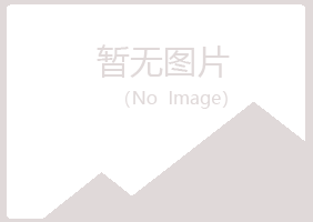 应城雅山化学有限公司